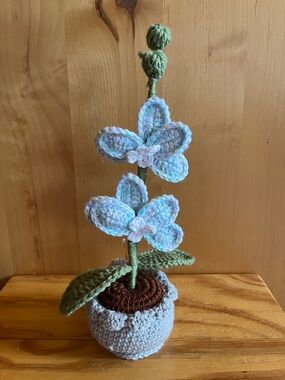 Handmade Crocheted Floral Orchid in Pot - Pastel Blue & Green